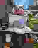 432597444_948291223759322_8494064742938150351_n
