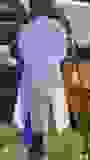 432745192_948291907092587_6279093016659771043_n