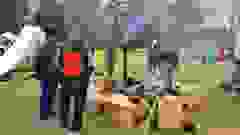 433070011_948291400425971_8202743546234540162_n