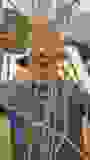 433112274_948291453759299_1867881477208447252_n