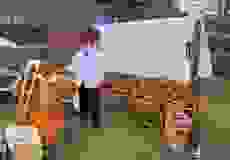 433117899_948291013759343_159437756324626667_n