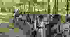 Messenger_creation_27b40a42-458f-493a-8ab2-cdf07fc218bb